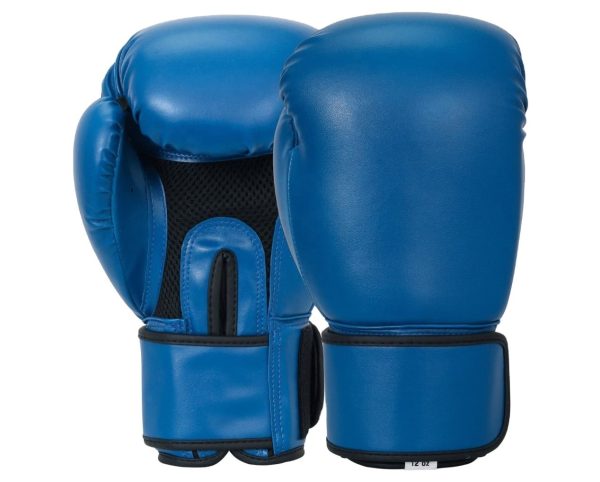 Blue Kickboxing leather gloves